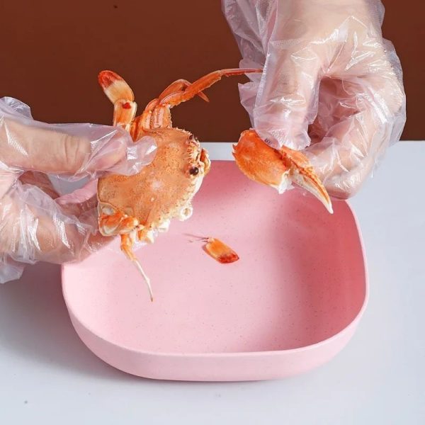 Food Grade Plastic Dining Plates | 10 pcs Elliptical Spit Bone Plate Set - Image 2